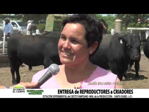 DE FRENTE AL CAMPO junto al SECTOR GANADERO -MARIA EVA LEFIN-