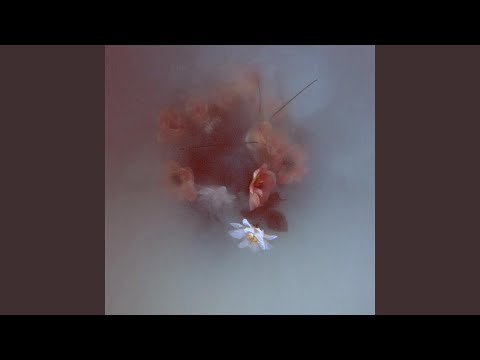 Set in Motion (feat. Sebastian Fors)