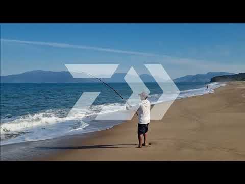 PESCARIA DE GIGANTES NA PRAIA !