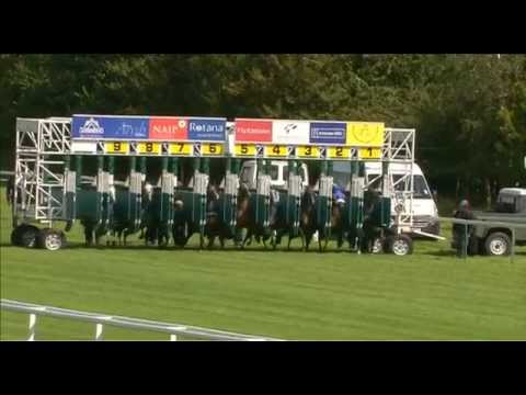 Newbury Dubai International Race Day 2014