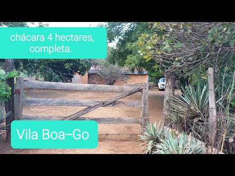 Chácara Vila Boa-Go.Com escritura 4 hectares.Casa, poço artesiano, pasto,frutíferas,cercada,etc.