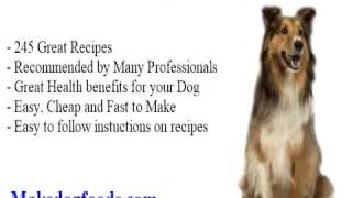nature recipe dog food