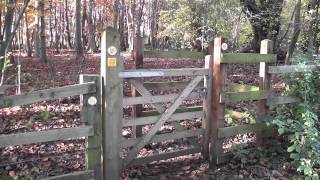 preview picture of video 'SWC Free Walk 69, Welwyn Circular. 11/11/12.'