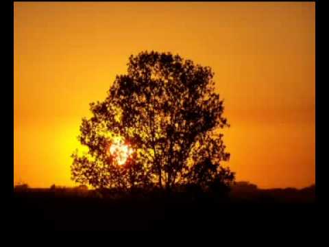 YouTube- Angelo Badalamenti - Laurens Walking.avi