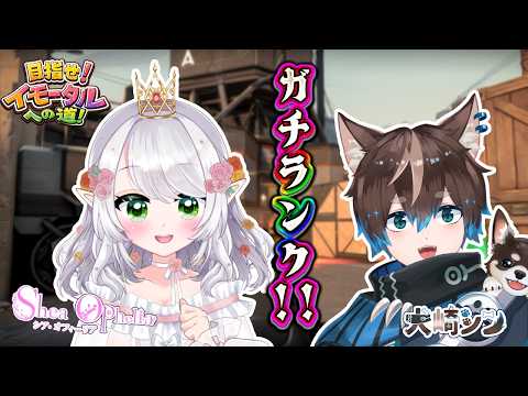 【シア/シンの目指せイモータル🎶】第４回！シアオフィーリアさんと行く！自分に合っているエージェントとは&hellip;