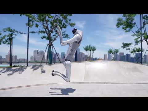 Unitree Go2 Robot Dog