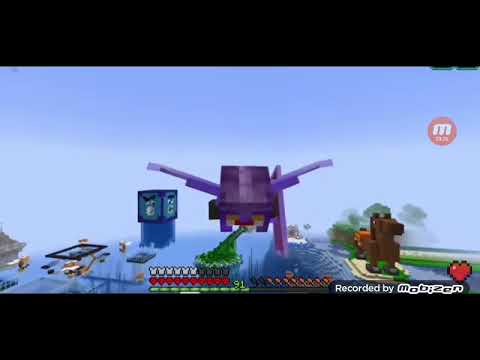 BellaFaccia ha regalato la vanilla Hardcore-minecraft-ita