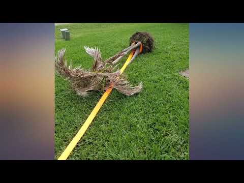 RoofPax Combo - 2/u201D Hitch Receiver + Black Non-Rust 3//4" D-Ring + 30' // 3" review