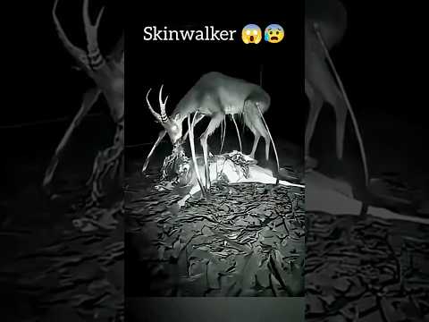 Skinwalker Disguised As Animals.Part-4 #shortsfeed #shortviral #youtubeshorts #scary #skinwalker