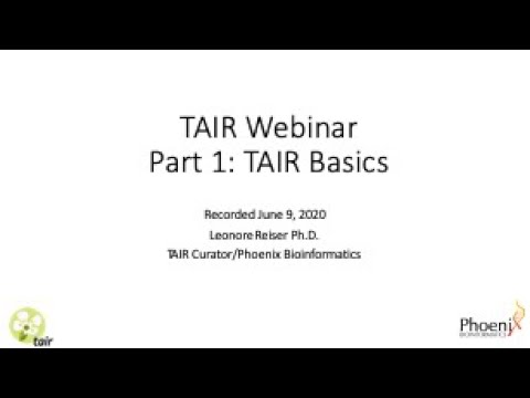 Introduction to TAIR (TAIR Basics)