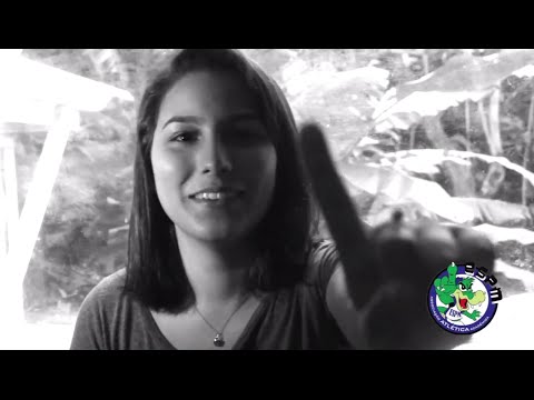 Somos Todos Um - Economíadas 2015