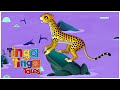 CHEETAH Needs HELP 1 Hour Of African Animal Folk Tales Tinga Tinga Tales Official