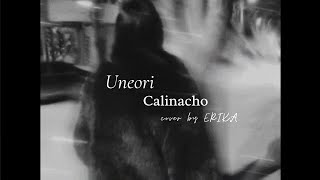 Download lagu ERIKA - Uneori ( Calinacho cover ) mp3