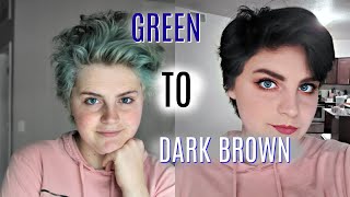 Dying My Green/Blue Hair Back To Dark Brown/Black | Hair Dying Q&A