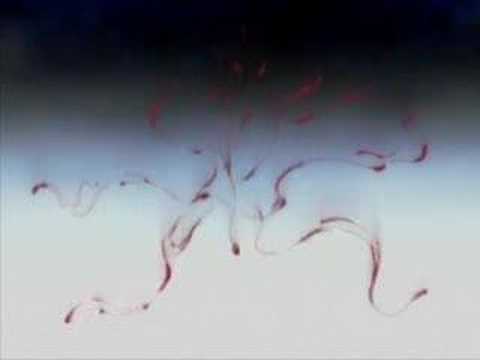 (AMV) Saint Seiya Tenkai Hen Overture