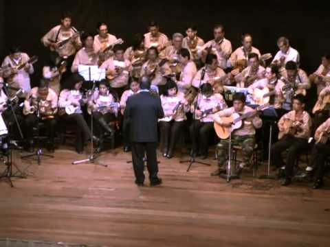 Orquesta de Charangos La Paz — Aromeñita