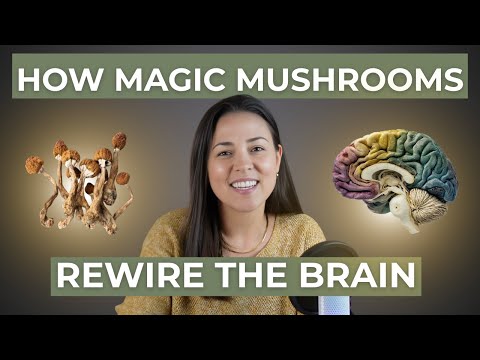Doctor Explains Psilocybin Therapy
