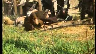 Video-Thumbnail von YouTube