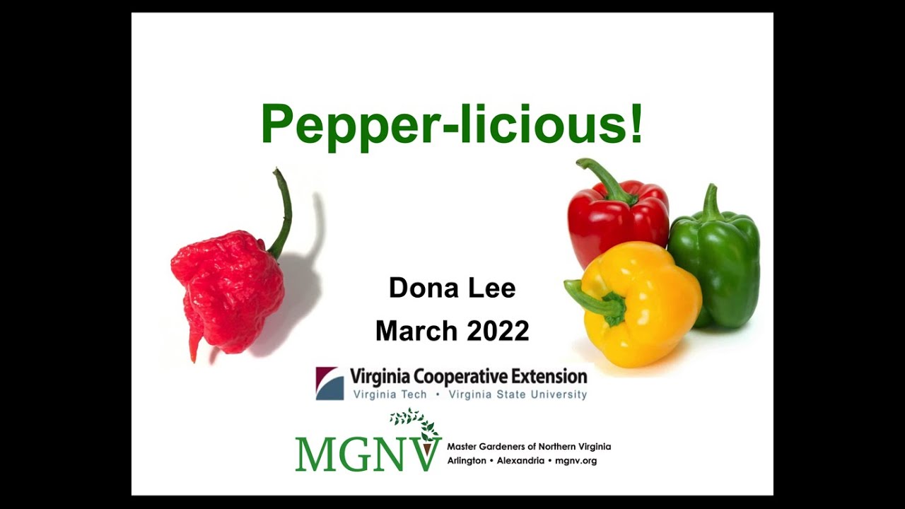 Pepper-licious!