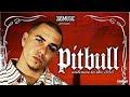 Pitbull Outro