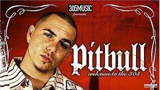 Pitbull Outro