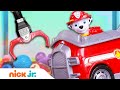 Claw Machine Surprise 11 W PAW Patrol Blaze And The Monster Machines Nick Jr
