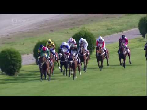 2016.08.28 Velké národní steeplechase o Pohár Josefa Váni (CZE) - Anaking