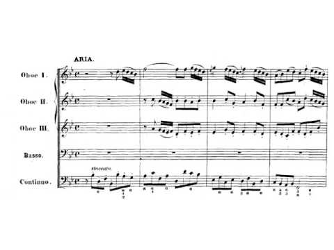 J. S. Bach: Cantata nº 20 BWV 20 O Ewigkeit, du Donnerwort Sheet Music