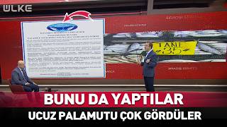 Bunu da Yaptılar Ucuz Palamutu Çok Gördüler!