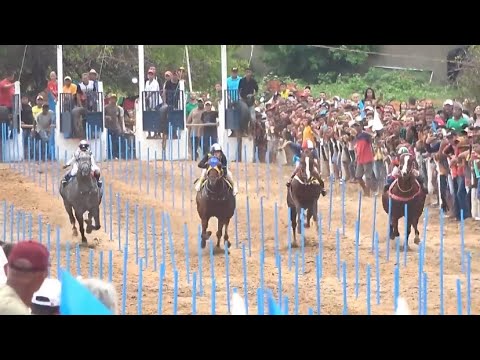 Festa Do Vaqueiro -  Paquetá Do Piauí (Corridas De Cavalo