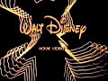 Wild Country The Intro 6 16 86 306V