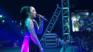 Download lagu Engkaulah takdirku - anisa rahma new pallapa mp3