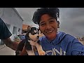 Sad Eidit Vampire Yt Husky Dog Rip Vampireyt Kkeiditz