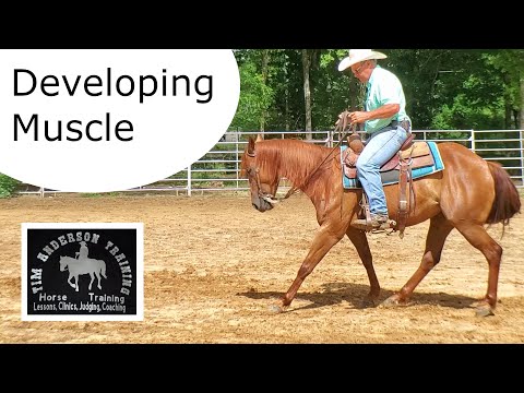 Mastering the Horse Backup