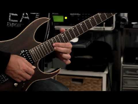 Rick Graham - Guitar