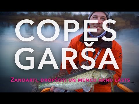 Copes Garša #3 - Zandarti uz Drop-Shot un Mencu aknu Lāsts