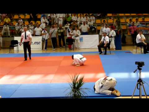 grigorescu mihai vs hantu george