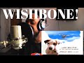 WISHBONE THEME SONG "What's The Story Wishbone" Cover By: Stephen Saint-Felix #90skid #PBSkids