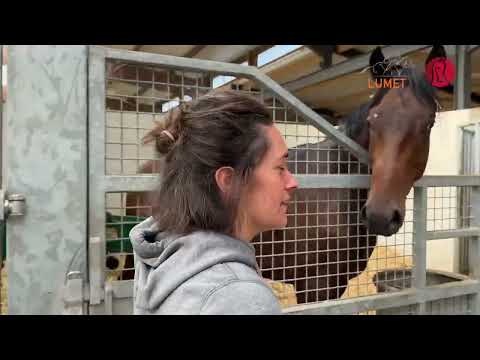 Show Lumet 2023 : l'arrivée de DO RE MIX venant de Karwin Farm