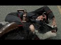Me Myself And Irene Cow Scene