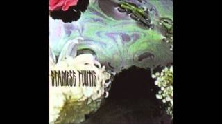 Siamese Twins - We Fall Apart