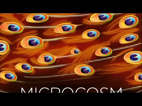 Microcosm – Higher Levels (Full Album)