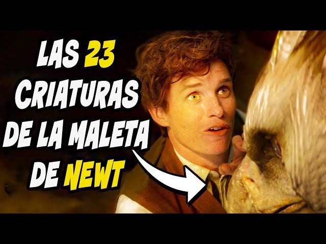 Vídeo relacionado con HARRY POTTER, Gominolas en forma de criaturas mágicas 59g (Paquete de 2)