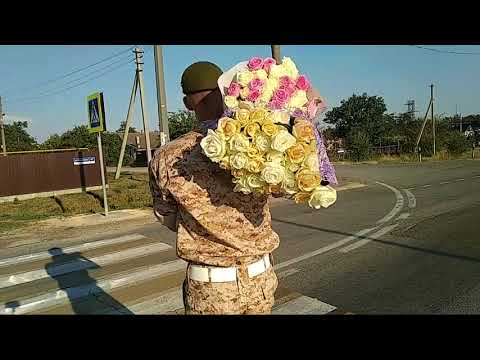 Солдат идет домой