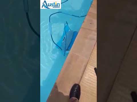 Swimming Pool Cleaners