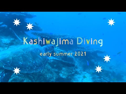 初夏の柏島ダイビング 2021