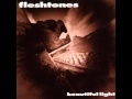 The Fleshtones "Take A Walk With The Fleshtones"