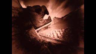 The Fleshtones "Take A Walk With The Fleshtones"