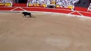Bullfight, San Fermín, Pamplona, Navarre, Spain, Europe