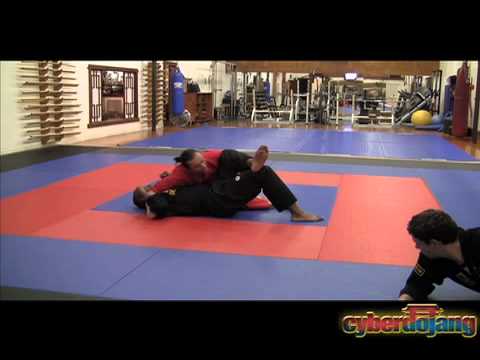 Cyberdojang.com: Positioning - Transitioning to Side Mounts